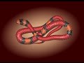 Adobe Illustrator Tutorials - Create a Vector Snake Using Mesh Tormentor