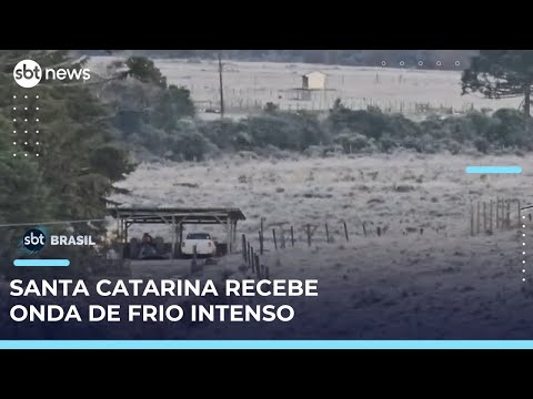 Video geada-neve-e-congelamento-atingem-a-regiao-da-serra-catarinense-sbt-brasil