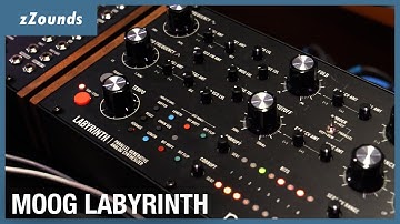 Moog Labyrinth Parallel Generative Analog Synth Overview, Demo, & Tutorial with Max Ravitz | zZounds
