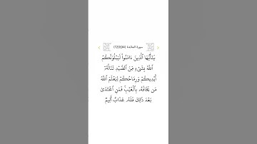 سورة المائدة ٩٤