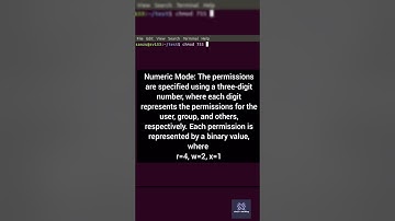 Mastering chmod: A Comprehensive Guide to File Permission Management