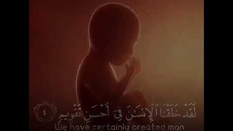 حالات واتس قرآن ❤️🌟[سورة التين]❤️🌟