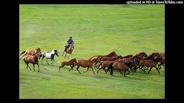 Vó ngựa trên thảo nguyên