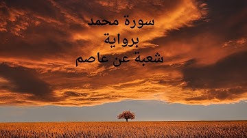 سورة محمد  💚💚 برواية شعبة عن عاصم 🤍🤍