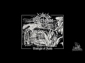 Blutfahne - Twilight Of Faith (Full Album) 2019