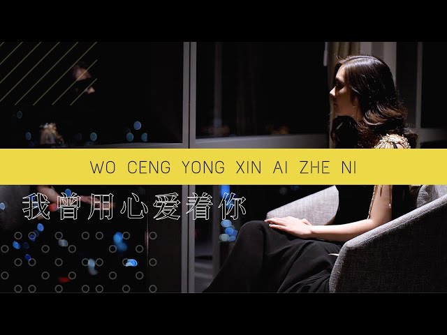 Wo Ceng Yong Xin Ai Zhe Ni《我曾用心爱着你》【Lagu Mandarin】Desy Huang 黄家美 class=