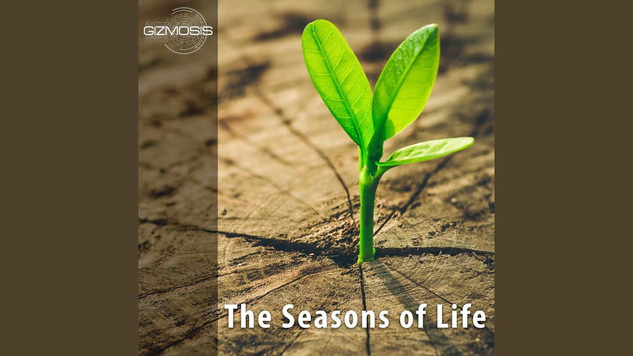 Obejrzyj Miracle (Live) w YouTube Obejrzyj Miracle (Live) w YouTube