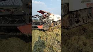 combi kubota #combi #kombi #traktor