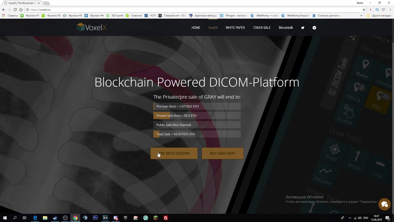 VoxelX ICO - Бета-версия уникального приложения(MVP)
