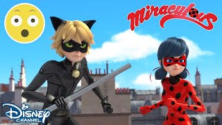 Måste Ladybug och Cat Noir ge bort sina miraculous?! | Miraculous | Disney Channel Sverige