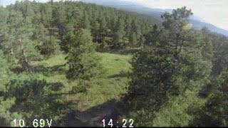 FPV - Wandering through forest - Ground Recording