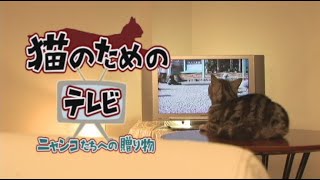 『猫のためのテレビ・DVD版　ニャンコたちへの贈り物』トレーラー・OP ver.