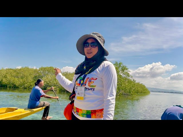 Grande Santa Cruz Island: Pink Sand Beach of Zamboanga City + JELLY FISH na Hindi Harmful class=