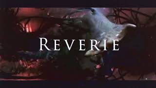 Reverie Sizzle Reel