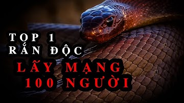 [Review Thế Giới Động Vật] Loài Rắn Độc Nhất Thế Giới Có Thể Giết 100 Người Chỉ Với 1 Vết Cắn!