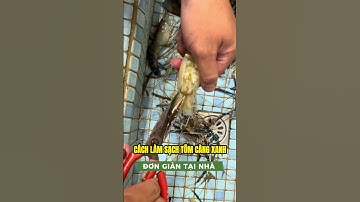 Cách làm sạch tôm càng xanh đơn giản tại nhà