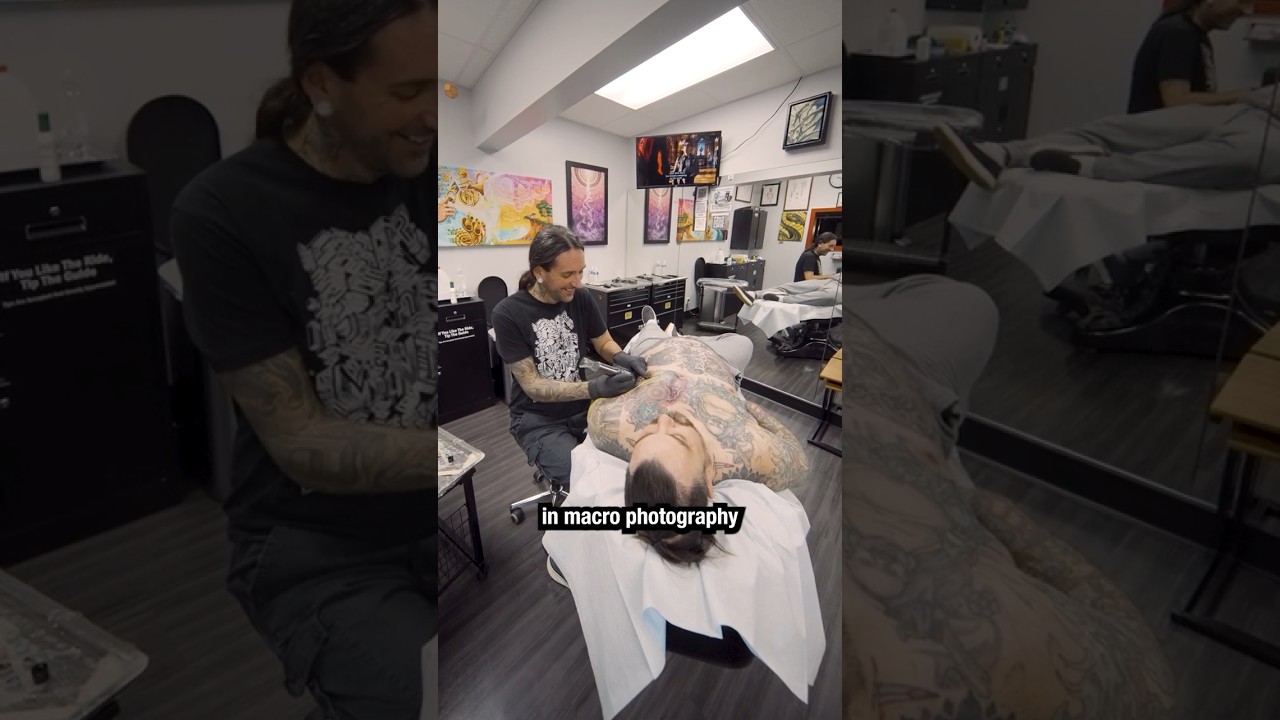 Где вы находите вдохновение для своих работ? Фото: Адам Франс 