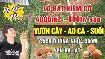#14 |HIẾM CÓ lô đất ven Đà Lạt cách đường nhựa chỉ 300m, vườn cây ăn trái, ao cá, suối chảy róc rách
