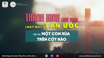 Bài 8: Một Con Rùa Trên Cột Rào | Tân Ước Lược Khảo (Bài học Kinh Thánh hằng ngày)