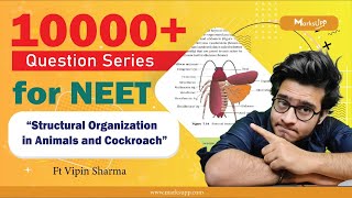 10000  Questions Series for NEET | Structural Organization in Animal | NCERT Based Question Practice