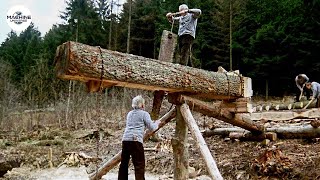 Hand-Sawing Oak Logs to Planks: Traditional Skill at 70 Years Old (No Machines)