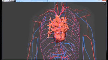 3D Blood Flow Visualization