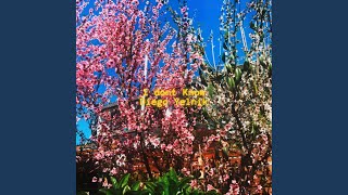 Download Lagu I Don't Know MP3