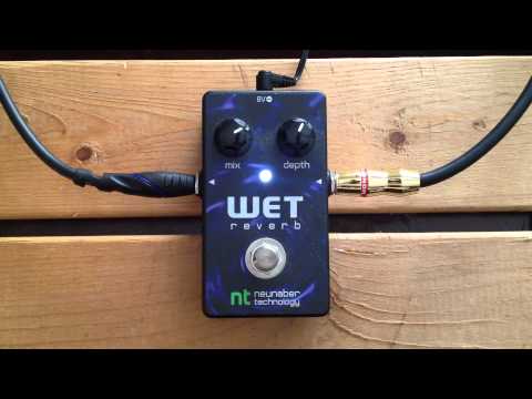 5 Minutes with the Neunaber Technology Wet Reverb - Pedal Demo