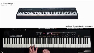 Numa Concert - Demo 04: Strings & Sympathetic Resonance