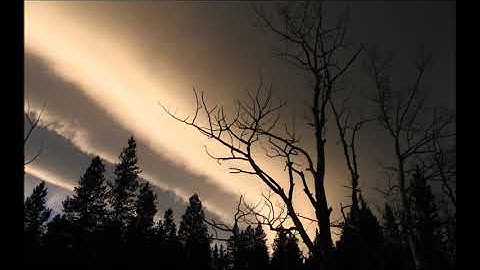 سورة الزلزلة إدريس أبكر