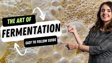 The Art of Fermentation: Food Fermentation Explained