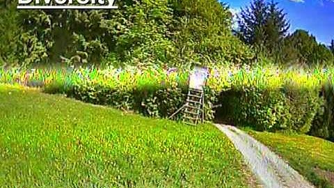 FatShark 5G8 Diversity Vs FatShark 5G8 Single