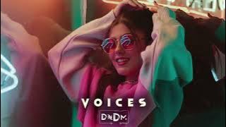 DNDM & JamBeats - Voices (Original Mix)