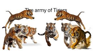 The army of Tigers