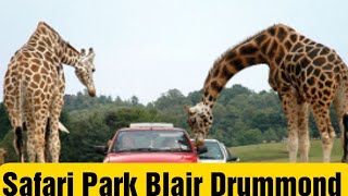 Visit to Safari Park Blair Drummond