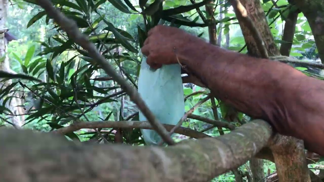 ഇന്നത്തെ സന്തോഷം!!!! KN VLOGS OFFICIAL | LIKE | SHARE | SUBSCRIBE| 