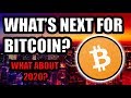 What's Next For Bitcoin's Price? $2,000 Or $10,000? What About The Next Halving in 2020?