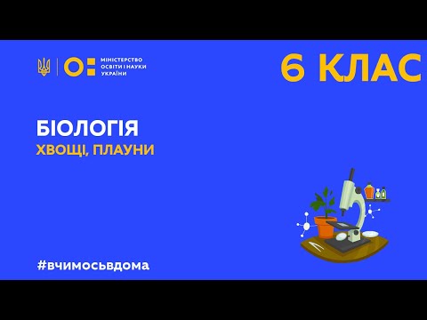 6 клас. Біологія. Хвощі, плауни. (Тиж.1:ПН)