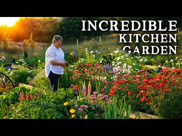 Breathtaking Raised Bed Garden FULL of Veg & Flowers (Only 6 Months Old!) class=