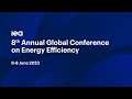 8th Annual Global Conference on Energy Efficiency: Opening remarks and learning from the crisis