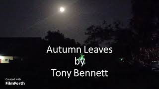 Tony Bennett - Autumn Leaves