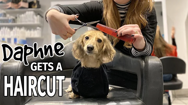 Ep#16: Daphne Gets a Haircut! (Finale) - Cute Dach...