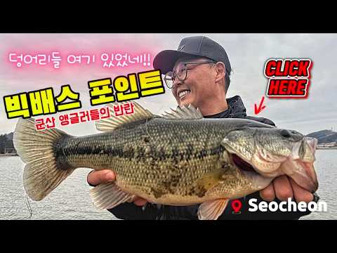 충청권 덩어리를 마릿수로 만나는 곳!! #봄 #배스포인트 #배스낚시