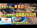 【高麗芝施工最安値】50㎡を2500円~で施工可能な方法とは?縛り条件を付けて芝生の復旧に臨みます!