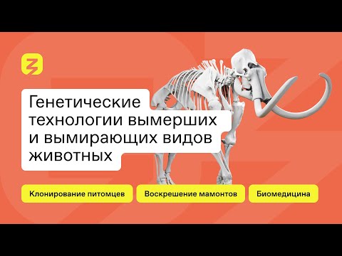 Видео: Молодые родители-любители питья в Китае