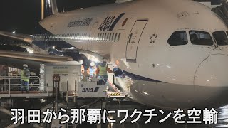 羽田から那覇にワクチンを空輸