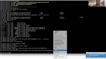 Kubernetes SIG VMware - Cluster API vSphere Provider bi-weekly syncup 20190128