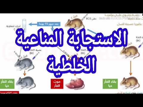 الدرس20 الاستجابة المناعية الخلطية دروس العلوم الطبيعية للرابعة متوسط