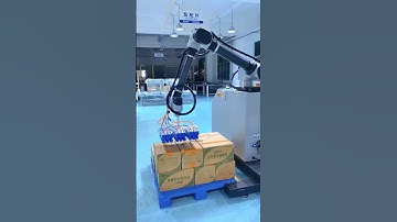 Robotic Collaborative Palletizer Handling Test #collaborativepalletizer #roboticpalletizer