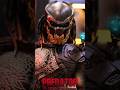 Berserker Predator 1/6th Scale Collectible Figure By Hot Toys From Predators Movie Masterpiece